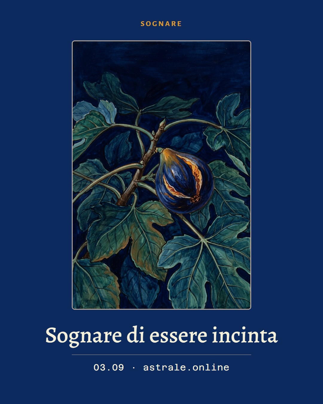 Sognare di essere incinta, 3 settembre 2026